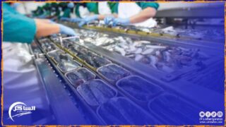 يرتقب ان يحصل مفتشي الشغل على صلاحيات جديدة بمدونة الشغل