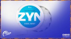 منتجات بديلة: ما هي أكياس النيكوتين؟