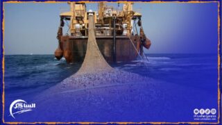 قيمة منتجات الصيد الساحلي والتقليدي المسوقة تتراجع بالمغرب