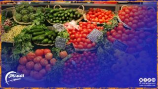 المغرب يقترب من تحقيق رقم قياسي في مجموع صادراته السنوية من هذا النوع من الخضر ؟