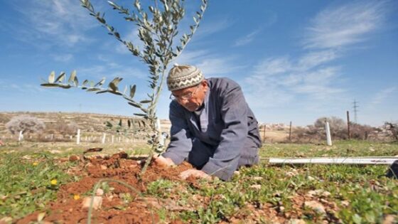 الفلاحة التضامنية في المغرب: أداة لتحقيق التنمية المستدامة والعدالة الاجتماعية