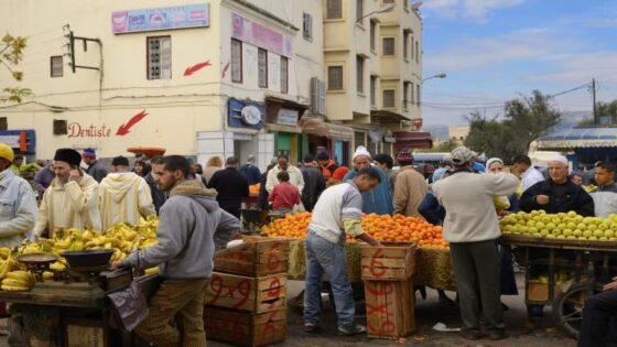 إشكالية الباعة المتجولين في وسط الطريق وتأثيرها على الحياة اليومية