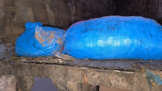 جماعة الداخلة ترفع دعوى قضائية ضد سائق شاحنة لنقل النفايات لتورطه في تهريب 95 كيلوغرامًا من الصدفيات