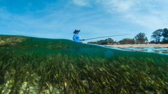 الاقتصاد الأخضر والأزرق والبحري في المغرب: آفاق ونتائج وأهداف Dynamique et gestion de l’environnement