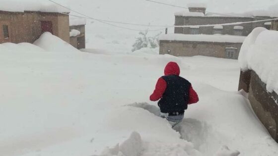 بسبب الثلوج .. توقيف الدراسة في المؤسسات التعليمية بهذا الإقليم حفاظًا على سلامة التلاميذ والأطر التربوية ؟