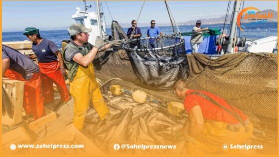 صحف .. المنتجات البحرية المغربية في الأسواق الإسبانية تثير استياء العديد من الصيادين الإسبان