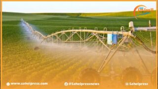 المغرب .. الماء واستدامة الفلاحة ; بين تحديات الندرة وحلول المستقبل