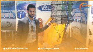 أكادير .. حضور وازن للفعاليات الشابة القادمة من الداخلة لافتتاح المعرض الدولي أليوتيس في نسخته السابعة