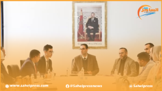 الداخلة .. إجتماع اللجنة المحلية للتكفل بالنساء ضحايا العنف