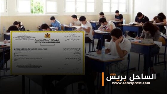 خدمة إلكترونية جديدة تهم تصحيح المعطيات والمصادقة على الترشيحات لاجتياز امتحانات البكالوريا لدورة 2025 (تفاصيل)