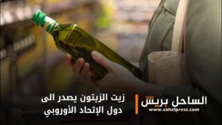 زيت الزيتون يتحدى أسعاره المرتفعة وطنيا ويصدر إلى دول الاتحاد الأوروبي