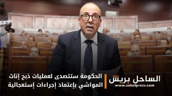 وزير الفلاحة .. الحكومة ستتصدى لعمليات ذبح إناث المواشي بإعتماد إجراءات إستعجالية