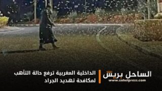 الداخلية المغربية ترفع حالة التأهب لمكافحة تهديد الجراد ومواجهة كل التحديات المتعلقة بإنتشاره