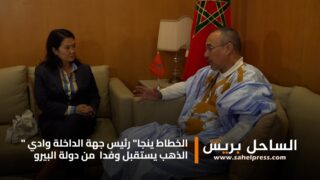 “الخطاط ينجا” رئيس جهة الداخلة وادي الذهب يستقبل وفدا من دولة البيرو