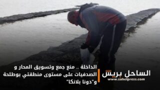 الداخلة .. منع جمع وتسويق المحار و الصدفيات على مستوى منطقتي بوطلحة و”دونا بلانكا”