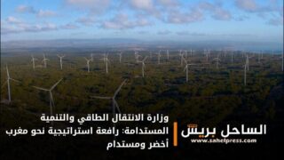 وزارة الانتقال الطاقي والتنمية المستدامة: رافعة استراتيجية نحو مغرب أخضر ومستدام
