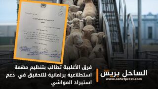 فرق الأغلبية تطالب بتنظيم مهمة استطلاعية برلمانية للتحقيق في دعم استيراد المواشي