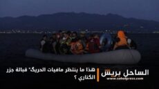 هذا ما ينتظر مافيات الحريگ” قبالة جزر الكناري ؟