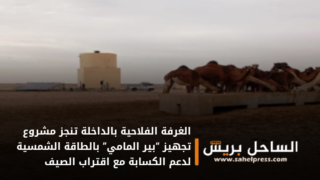 الغرفة الفلاحية بالداخلة تنجز مشروع تجهيز “بير المامي” بالطاقة الشمسية لدعم الكسابة مع اقتراب الصيف