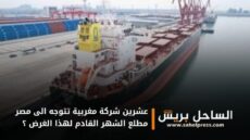 عشرين شركة مغربية تتوجه الى مصر مطلع الشهر القادم لهذا الغرض