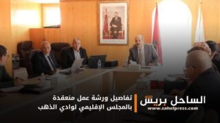 تفاصيل ورشة عمل منعقدة بالمجلس الإقليمي لوادي الذهب