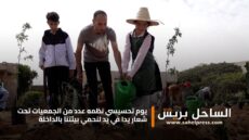 الداخلة .. يوم تحسيسي نظمه عدد من الجمعيات تحت شعار “يدا في يد لنحمي بيئتنا بالداخلة”