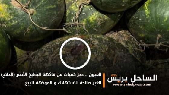 العيون .. حجز كميات من فاكهة البطيخ الأحمر (الدلاح) الغير صالحة للاستهلاك و الموجّهة للبيع