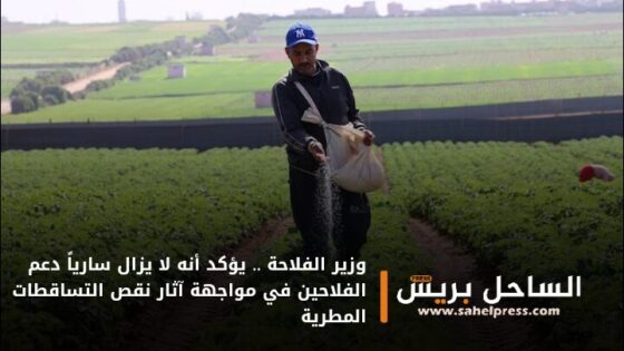 وزير الفلاحة .. يؤكد أنه لا يزال سارياً دعم الفلاحين في مواجهة آثار نقص التساقطات المطرية