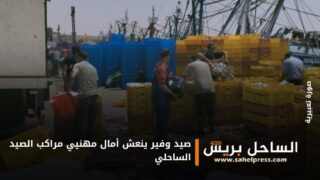 صيد وفير ينعش أمال مهنيي مراكب الصيد الساحلي