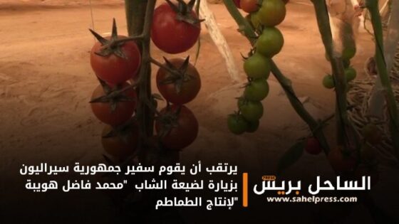 يرتقب أن يقوم سفير جمهورية سيراليون بزيارة لضيعة الشاب “محمد فاضل هويبة “لإنتاج الطماطم