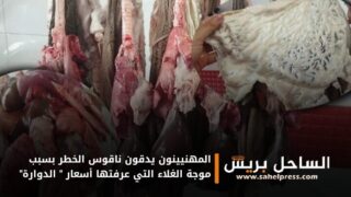 المهنيينون يدقون ناقوس الخطر بسبب موجة الغلاء التي عرفتها أسعار ” الدوارة”