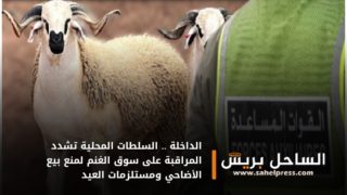 الداخلة .. السلطات المحلية تشدد المراقبة على سوق الغنم لمنع بيع الأضاحي ومستلزمات العيد