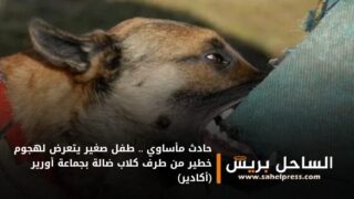 حادث مأساوي .. طفل صغير يتعرض لهجوم خطير من طرف كلاب ضالة بجماعة أورير (أكادير)