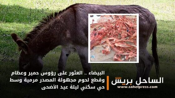 البيضاء .. العثور على رؤوس حمير وعظام وقطع لحوم مجهولة المصدر مرمية وسط حي سكني ليلة عيد الأضحى