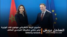 مشروع الربط الكهربائي في صلب لقاء الوزيرة ليلى بنعلي بنظيرها الفرنسي المكلف بالصناعة والطاقة