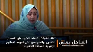 “غلة باهية ” .. تسلط الضوء على المسار التنموي والسياسي الذي تعرفه الأقاليم الجنوبية للمملكة المغربية