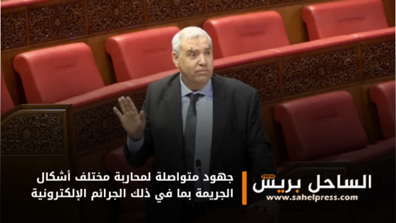 جهود متواصلة لمحاربة مختلف أشكال الجريمة بما في ذلك الجرائم الإلكترونية