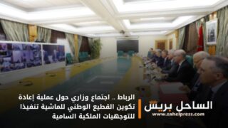 الرباط .. اجتماع وزاري حول عملية إعادة تكوين القطيع الوطني للماشية تنفيذا للتوجهيات الملكية السامية