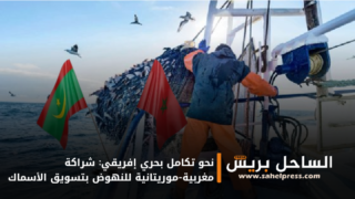 نحو تكامل بحري إفريقي: شراكة مغربية-موريتانية للنهوض بتسويق الأسماك