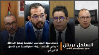 دبلوماسية المجالس المنتخبة بجهة الداخلة – وادي الذهب: رؤية استراتيجية نحو العمق الإفريقي