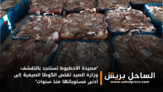 “مصيدة الأخطبوط تستنجد بالتقشف: وزارة الصيد تقلص الكوطا الصيفية إلى أدنى مستوياتها منذ سنوات”