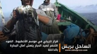 قرار تاريخي في موسم الأخطبوط.. الضوء الأخضر لصيد الحبار ينعش آمال البحارة بالداخلة