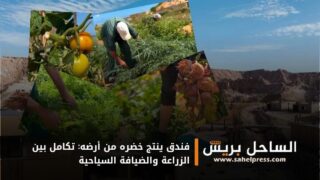 فندق ينتج خضره من أرضه: تكامل بين الزراعة والضيافة السياحية