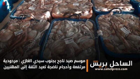 موسم صيد ناجح بجنوب سيدي الغازي : مردودية مرتفعة وأحجام ناضجة تعيد الثقة إلى المهنيين