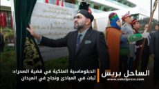 الدبلوماسية الملكية في قضية الصحراء: ثبات في المبادئ ونجاح في الميدان