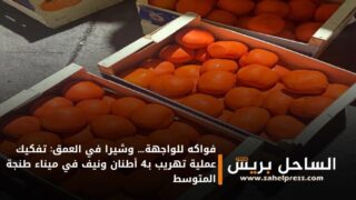 فواكه للواجهة… وشيرا في العمق: تفكيك عملية تهريب بـ4 أطنان ونيف في ميناء طنجة المتوسط