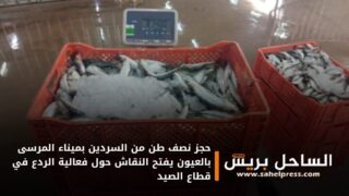 حجز نصف طن من السردين بميناء المرسى بالعيون يفتح النقاش حول فعالية الردع في قطاع الصيد