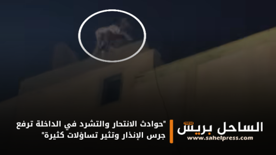 “حوادث الانتحار والتشرد في الداخلة ترفع جرس الإنذار وتثير تساؤلات كثيرة”
