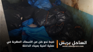 ضبط نحو طن من الأسماك المهربة في عملية أمنية بميناء الداخلة