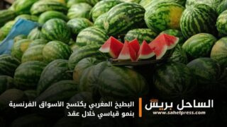 البطيخ المغربي يكتسح الأسواق الفرنسية بنمو قياسي خلال عقد